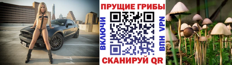 Галлюциногенные грибы MAGIC MUSHROOMS Бузулук