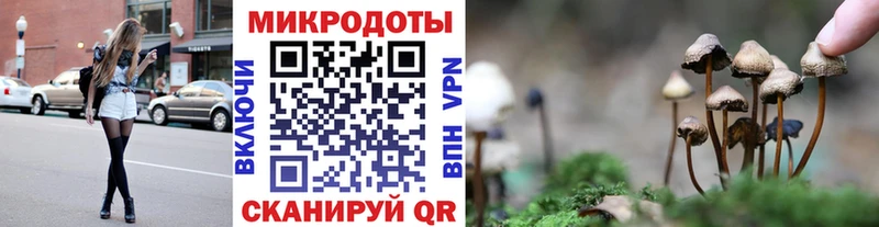 Купить где  Бузулук  Псилоцибиновые грибы Psilocybe 